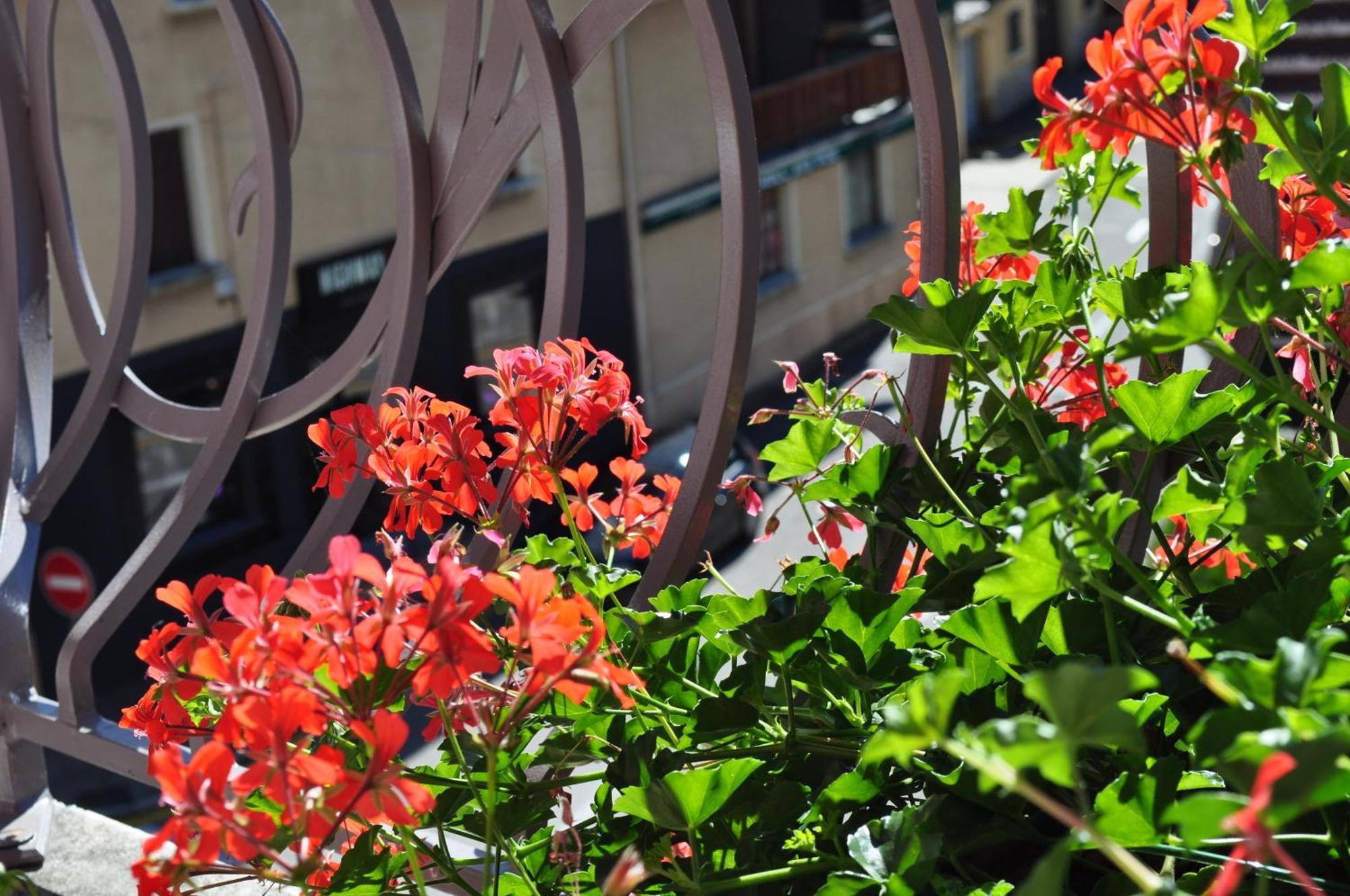 Hotel Et Appart'Hotel De L'Hermitage Thones Exterior photo